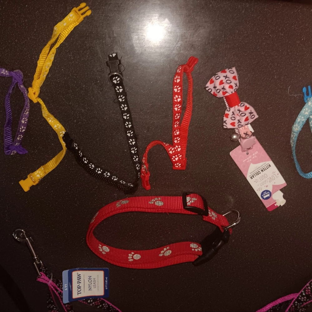 Leashes - Picture 13 of 15